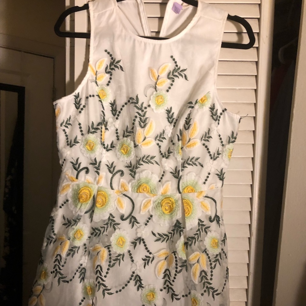 Beautiful lace embroidered overlay dress